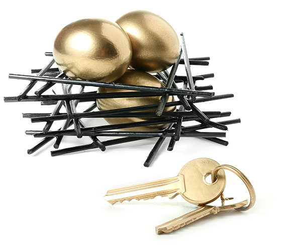 Nest-Egg Pension Nest Egg